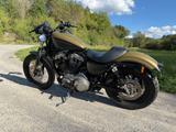 Harley-Davidson XL1200N Nightster Sportster 5HD FALCON Lieferung - HARLEY-DAVIDSON SPORTSTER NIGHTSTER