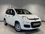 Fiat Panda 1.2 Easy Komfort-Paket Winterräder - Fiat Panda Gebrauchtwagen in Berlin