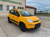 Fiat PANDA 1,3 MultiJet 95 WILD 4x4 vin 465 - Fiat Panda mit Diesel-Antrieb: Allradantrieb, 1.3