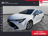 Toyota Corolla Touring Sports 1.8 Hybrid Business Editi - Toyota Gebrauchtwagen in Neubrandenburg