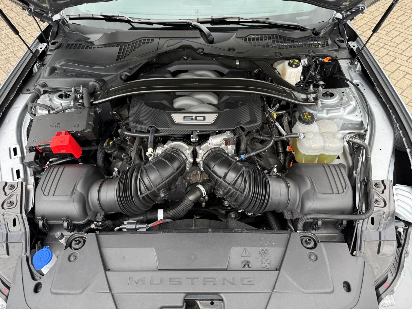 Fahrzeugabbildung Ford Mustang 5.0 V8 Convertible GT Tiefer  Klimasitze