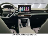 Cupra Terramar - Vorschau Bild 12