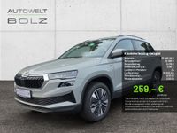 Skoda Karoq - Vorschau Bild 1