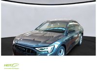 Audi e-tron - Vorschau Bild 1