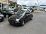 Fiat Panda 1.3 D Dynamic 1.3 Multijet 16V EU4 Dynamic - Fiat Panda Dynamic mit Diesel-Antrieb