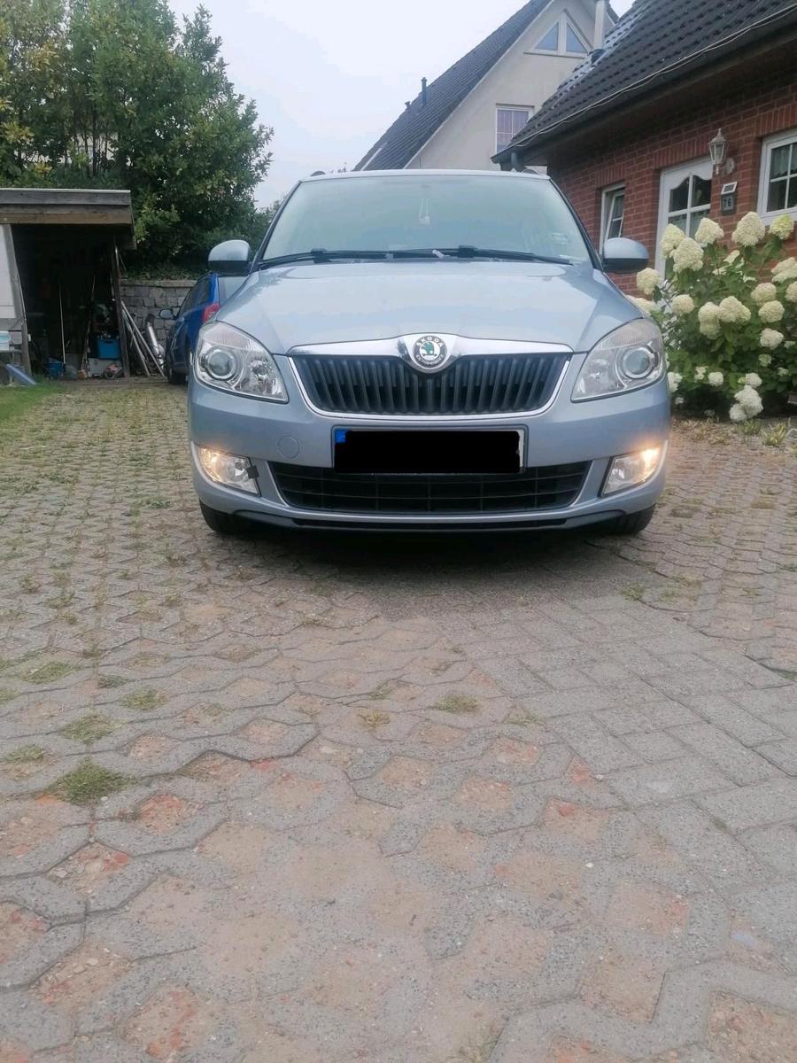 Skoda Fabia, 2010