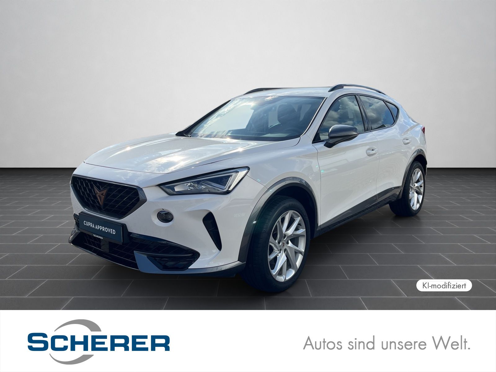 Cupra Formentor 1,5 TSI DSG NAVI/LED/PDC/u.v.m.