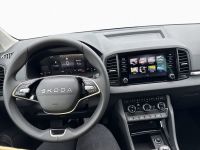 Skoda Karoq - Vorschau Bild 11