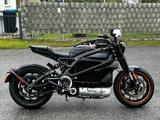Harley-Davidson LIVE WIRE *BESCHÄDIGT - HARLEY-DAVIDSON NAKED BIKE