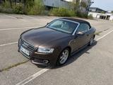 Audi A5 Cabriolet 2.7 TDI / S-Line / Automatik - Audi A5 mit Diesel-Antrieb: 2.7