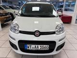 Fiat Panda Easy - gebrauchte Fiat Panda aus dem Jahr 2020