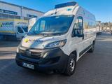 Fiat Ducato 35 L2H2 TK-Kasten - Angebote