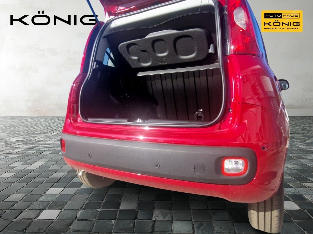 Fiat Panda - Bild 5