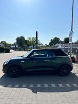 MINI Cooper S Cabrio in British Racing Green ohne OPF - MINI Cabrio Serie von privat