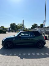 MINI Cooper S Cabrio in British Racing Green ohne OPF - MINI in Berlin