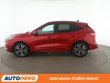 Ford Kuga 2.5 Plug-in Hybrid ST-Line X Aut.*NAVI*LED* - Ford Kuga Gebrauchtwagen in Bonn