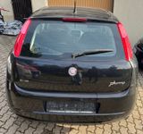 Fiat Punto 1.4 8V Dynamic Dynamic - Fiat Punto aus 2009: 1.4