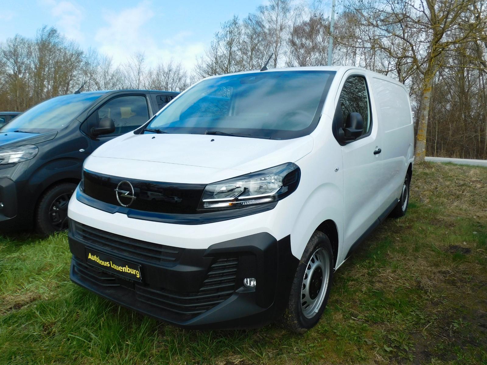 Opel Vivaro Kasten M+HOLZBODEN