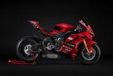 Ducati Panigale V4 Marquez 2025 World Champion Repli - DUCATI PANIGALE V4