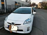 Toyota Prius 2011 Hybrid - Toyota Prius in Dresden