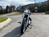 Harley-Davidson FXST Softail Standard/J&H/Umbauten/Service neu - Offers matching your search criteria