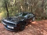 Dodge Challenger - Dodge Challenger Gebrauchtwagen