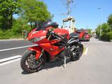 Triumph Daytona 675 (H67) - TRIUMPH DAYTONA 675