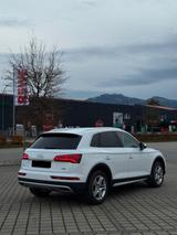 Audi Q5 40 TDI quattro design design - Audi Q5: Weiß