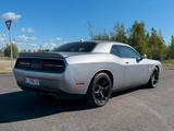 Dodge Challenger 3.6 Petrol Automatic  - Dodge Challenger: Coupe