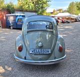 Volkswagen Käfer 1200 orig. Faltdach Liebhaberzustand !! - Volkswagen Käfer: Faltdach