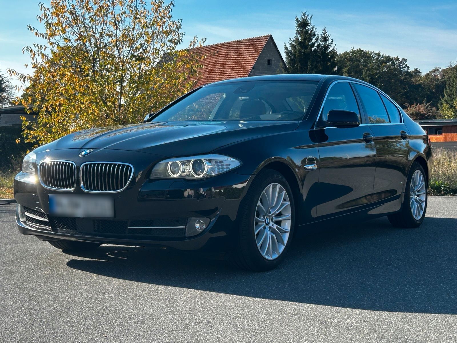 2010 BMW 523