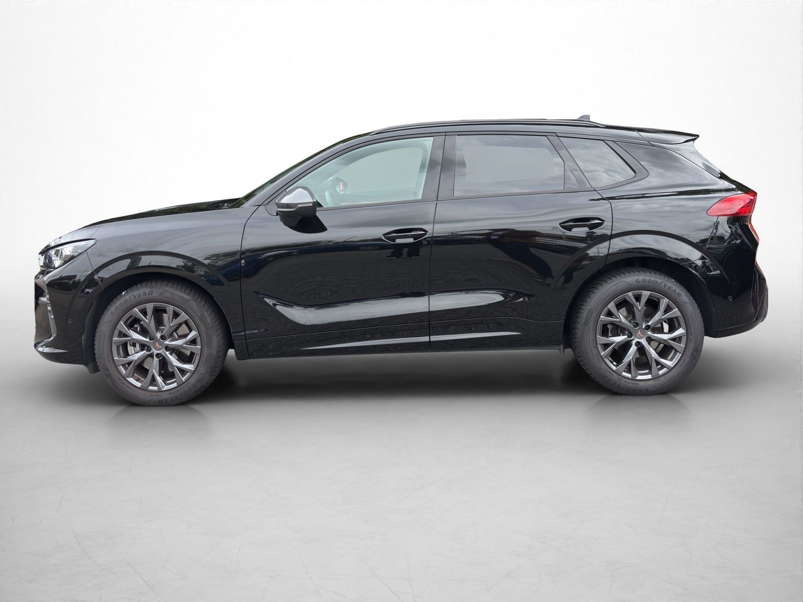 Cupra Terramar 2.0 TSI 4Drive Navi Matrix Kamera El.H foto 5