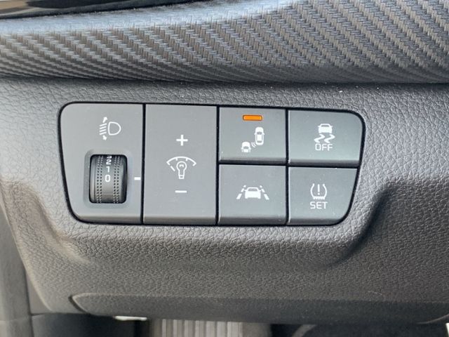 Rio 1.0 T-GDI GT Line *269,- ohne Anzahlung*