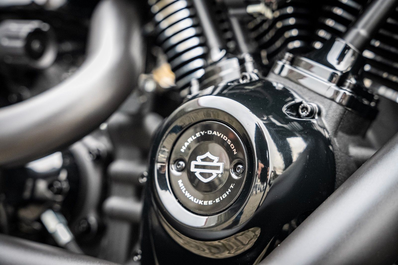 Fahrzeugabbildung Harley-Davidson SPECIAL DARK FAT BOY FLFBS 114 MY24