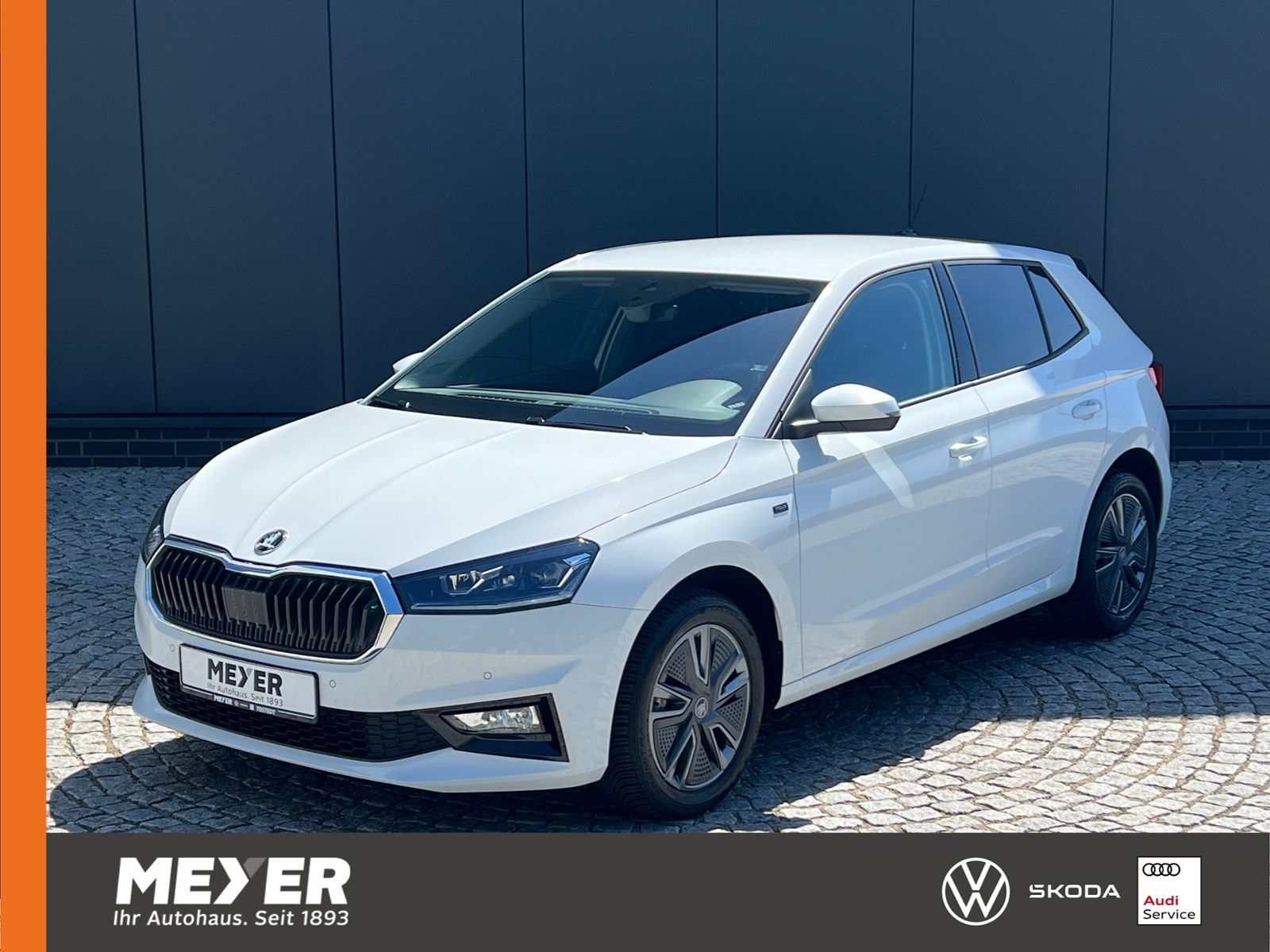 Fahrzeugabbildung SKODA Fabia Selection Tour 1.0 TSI *Vorb. AHK, LED, Ka