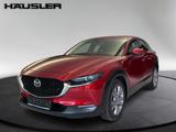 Mazda CX-30 2.0 Selection Kamera LED Navigation CarPla - Mazda CX-30 mit Hybrid-Antrieb
