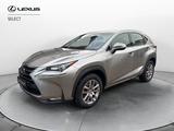 Lexus NX NX 300 Hybrid 4WD Executive - Lexus Gebrauchtwagen von 2017
