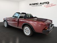 Fiat VOLUMEX einer von 500 - Image