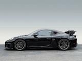 Porsche Cayman GT4 RS Liftsystem Vorderachse 90 l Tank - Porsche Cayman: R