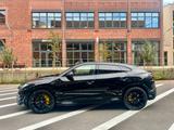 Lamborghini Urus 4.0 V8 Autom.  - schwarze Lamborghini Urus