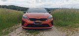Kia pro_cee'd / ProCeed 1.6 T-GDI GT GT - Kia pro cee'd / ProCeed aus 2019