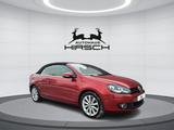 Volkswagen Golf VI Cabriolet 2.0 TDI 17" Navi PDC Standhzg - Volkswagen Golf: Cabrio, 2.0
