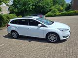 Ford Focus 1,5 TDCi 88kW Business Turnier Busines... - Ford Focus Business mit Diesel-Antrieb