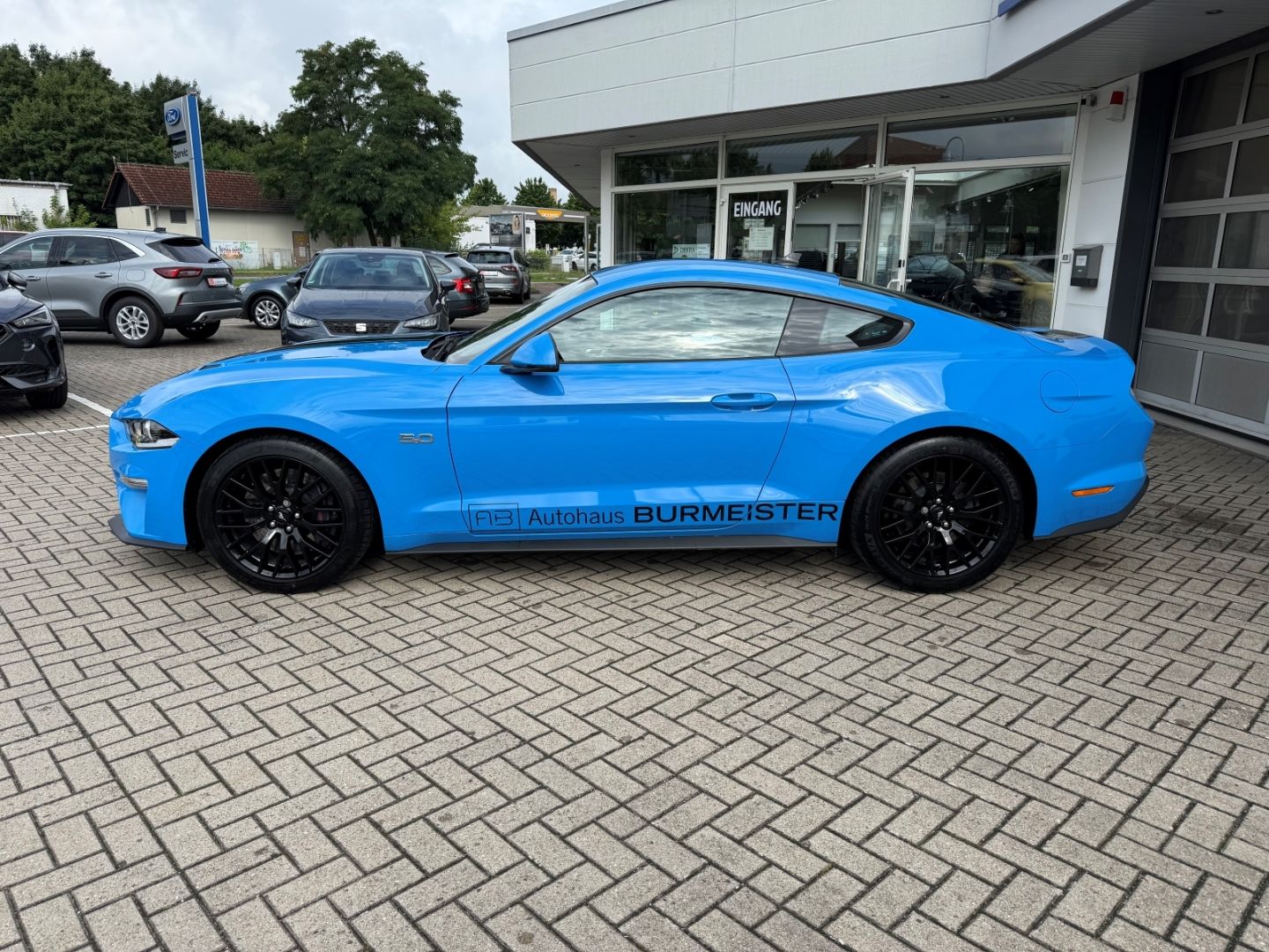 FORD Mustang Ti-VCT V8 GT 5.0 Klimasitze Navi 8Fach C - Image 3