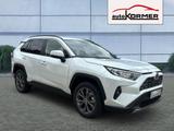 Toyota RAV4 Hybrid 4x4 Team CarPlay,Totwink,ACC,sofort