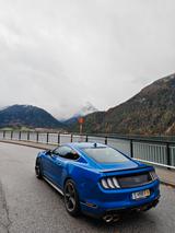 Ford Mustang 5.0 Schalter  MACH 1 NETTO RECARO EU - Ford Mustang Mach mit Benzin-Antrieb