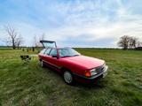 Audi 100 Avant (Typ 44) / H Zulassung / TÜ... - gebrauchte Audi 100 aus dem Jahr 1988