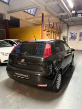 Fiat Punto MYSTYLE*TÜV SERVICE NEU* - Fiat Punto Gebrauchtwagen