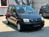 Fiat Panda 1.2 8V Dynamic/Klima/Top-Zustand - Fiat Panda in Gelsenkirchen