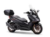 Honda Forza 125 Special Edition - im Showroom! - Honda Forza 125 Special Edition